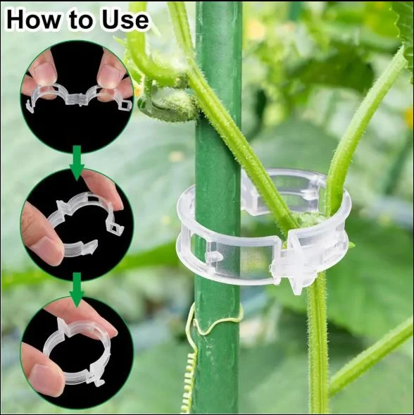 100 PCs । Reusable Plant Climbing Clip । CN-43