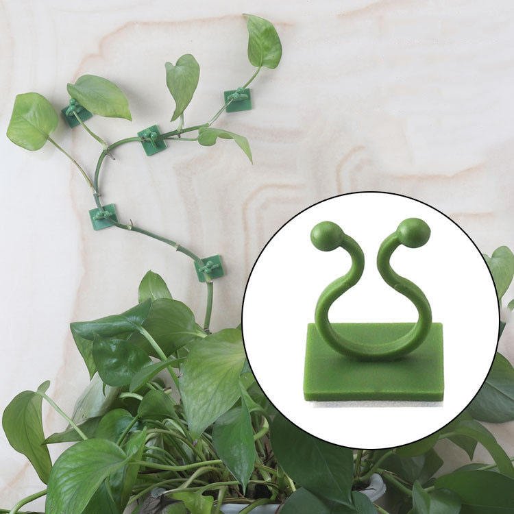 50 PCs । Self-Adhesive Plant Climbing Fixture Clip (Green/White) । CN-35