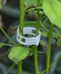 Alternative view of (100Pcs) Plant Clips for Climbing