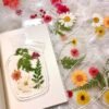 [50-Piece] Flower Storage Clear Bookmark