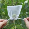 50 Pcs Fruit Protection Bags – Small Size (10 x 15 cm) | Anti-Insect Covers for Fruits & Vegetables”