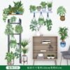 Tropical Green Plants Wall Sticker- Full Set