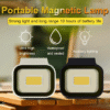 Premium Portable Outdoor Light
