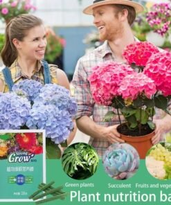 1 Box- Plant Growth Nutrient Sticks– Fast Growth for Roses, Pothos & Houseplants