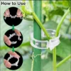 50 PCs । Reusable Plant Climbing Clip । CN-43