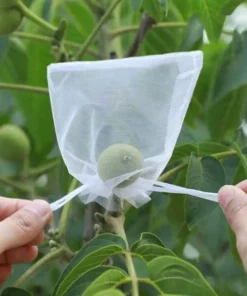 Alternative view of 50 PCs । Reusable Fruit Protection Nylon Net Bag Medium (15×20 cm) । CN-42